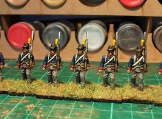 HaT Swedish Napoleonic Line Infantry