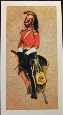 Cavalry Uniforms 19th C (3)