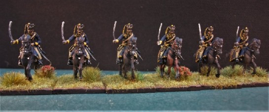Swedish Smaland light dragoons (12)